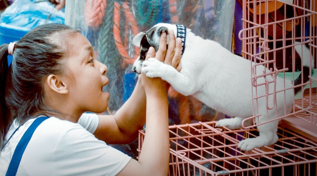 Not Just Humans Need Home Blog09 Free Img 1